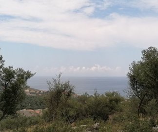 img20230529125205-copy