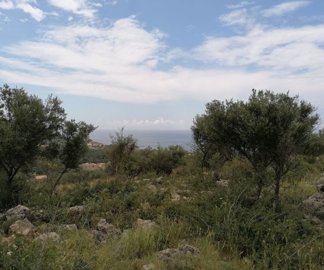 img202305291252052025-02-11-151238uowr