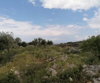 img202305291252082025-02-11-151248tuiv