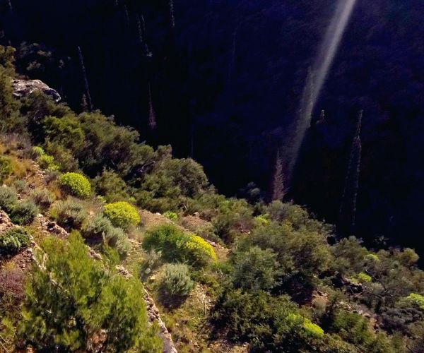 Image No.12-Maison de 4 chambres à vendre à Kardamyli