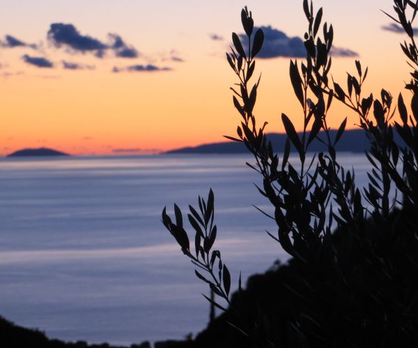 Image No.18-Maison de 4 chambres à vendre à Kardamyli