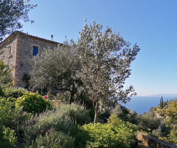 Image No.22-Maison de 4 chambres à vendre à Kardamyli