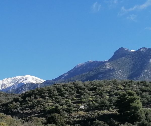Image No.30-Maison de 4 chambres à vendre à Kardamyli