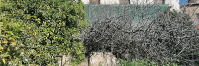 1 - Kardamyli, House