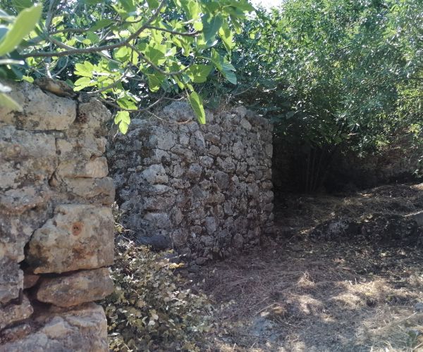 Image No.11-Maison de 3 chambres à vendre à Kardamyli