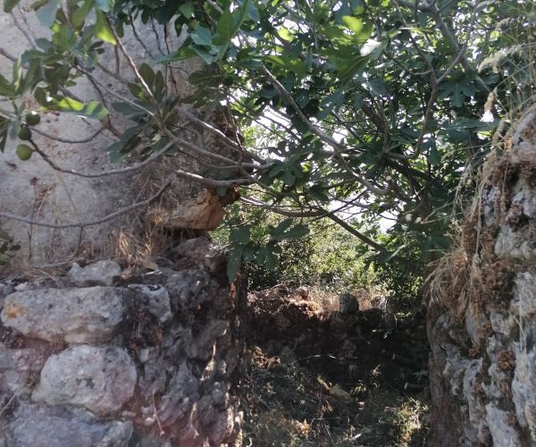 Image No.13-Maison de 3 chambres à vendre à Kardamyli