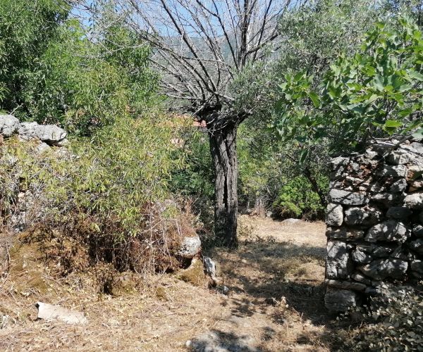 Image No.16-Maison de 3 chambres à vendre à Kardamyli