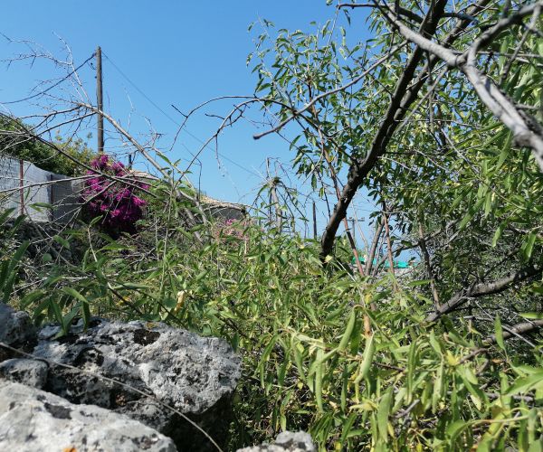 Image No.27-Maison de 3 chambres à vendre à Kardamyli