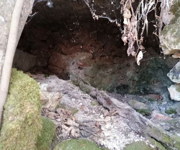 Image No.29-Maison de 3 chambres à vendre à Kardamyli