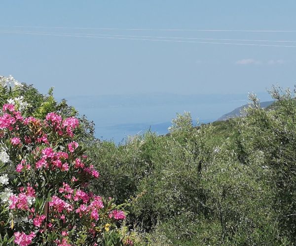 Image No.34-Maison de 3 chambres à vendre à Kardamyli