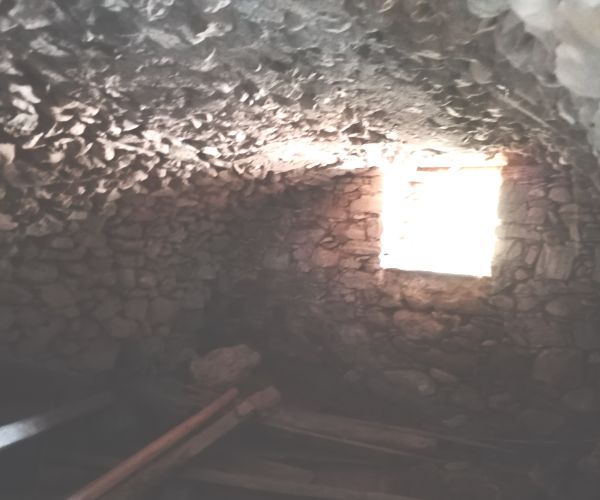 Image No.53-Maison de 2 chambres à vendre à Agios Dimitrios