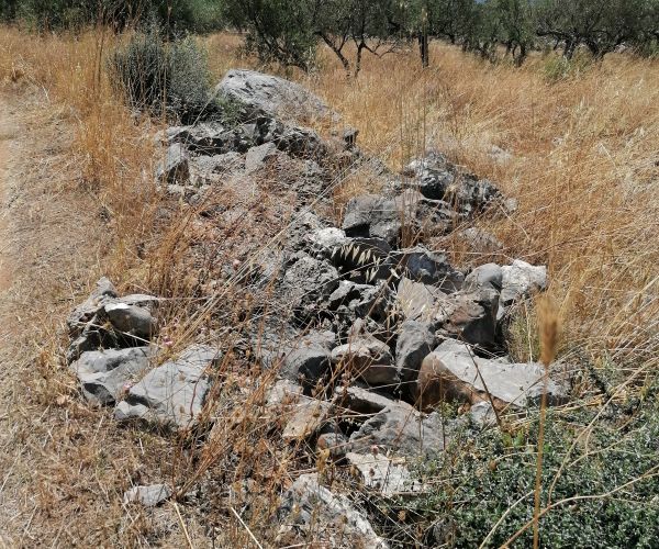 Image No.11-Plot for sale