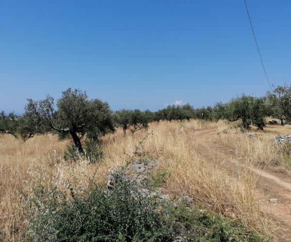 Image No.4-Plot for sale