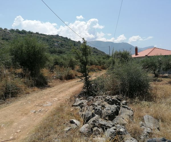 Image No.5-Plot for sale