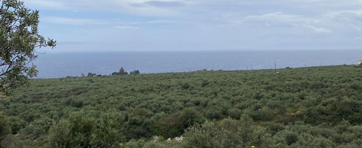 Image No.3-Plot for sale