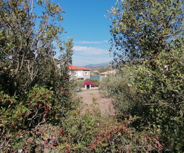 Image No.5-Plot for sale