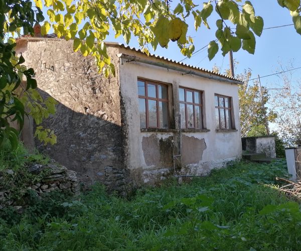 Image No.17-Maison de 3 chambres à vendre à Kardamyli