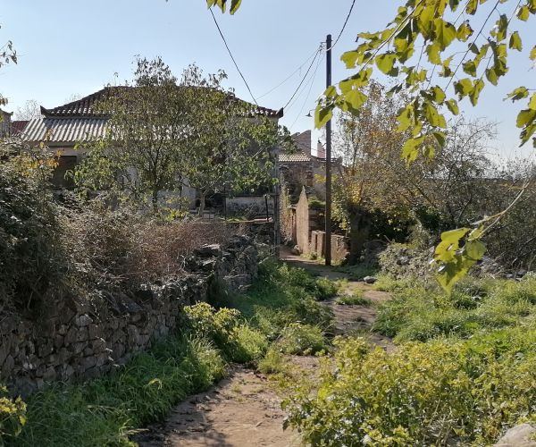 Image No.28-Maison de 3 chambres à vendre à Kardamyli