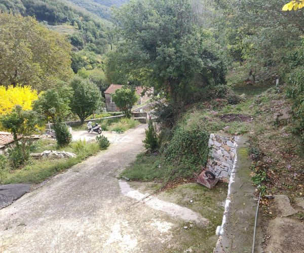 Image No.10-4 Bed House for sale