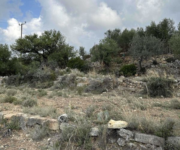 Image No.10-Terrain à vendre à Kardamyli