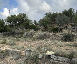 photo-17-10-23-10-46-08-am