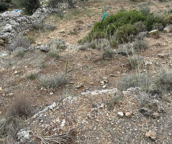 Image No.11-Terrain à vendre à Kardamyli