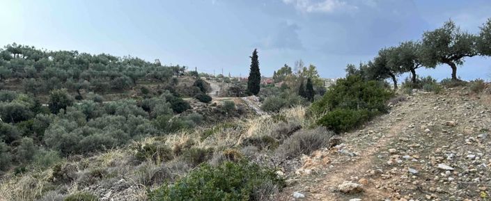 Image No.3-Terrain à vendre à Kardamyli