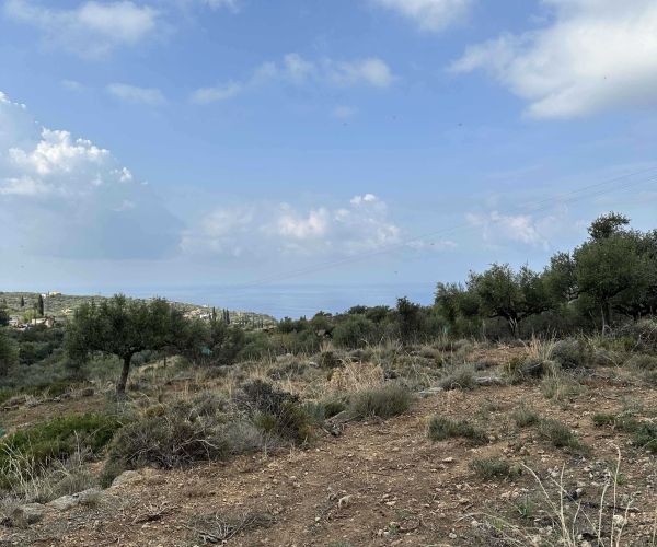 Image No.4-Terrain à vendre à Kardamyli