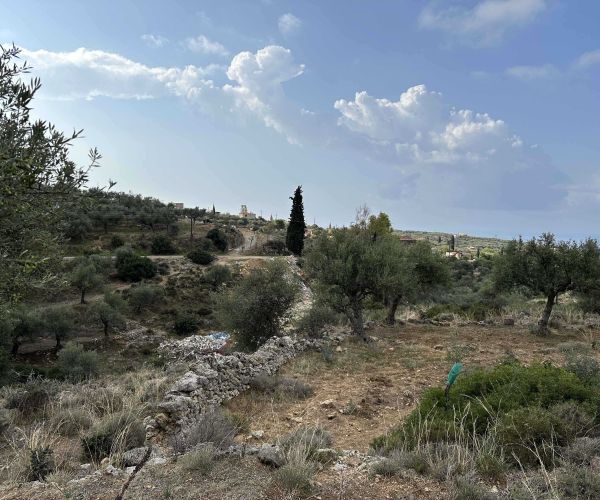 Image No.6-Terrain à vendre à Kardamyli