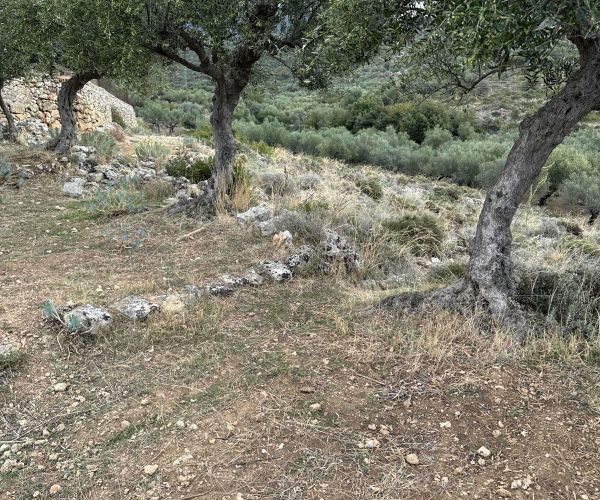 Image No.7-Terrain à vendre à Kardamyli