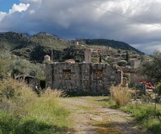 img202302051302082024-02-26-104117dwfb