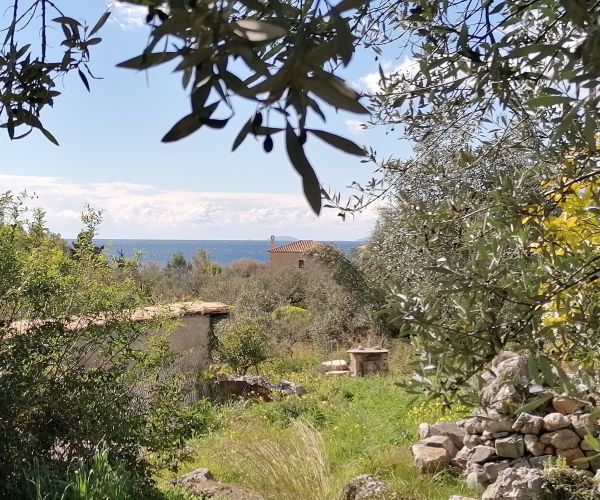 Image No.4-Maison de 5 chambres à vendre à Kardamyli