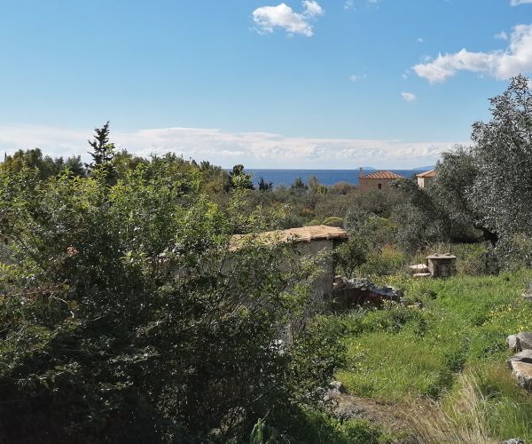 Image No.5-Maison de 5 chambres à vendre à Kardamyli