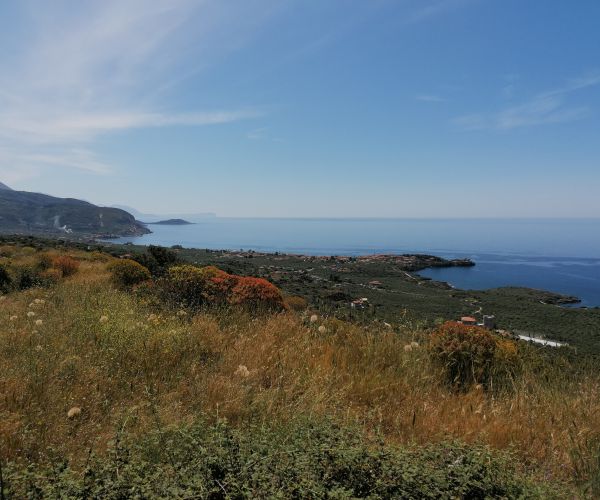 Image No.7-Maison de 2 chambres à vendre à Kardamyli