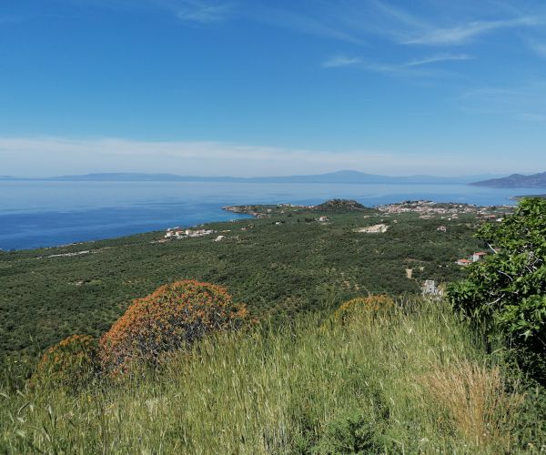 Image No.9-Maison de 2 chambres à vendre à Kardamyli