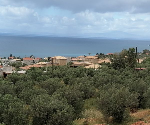 Image No.29-Maison de 3 chambres à vendre à Agios Dimitrios