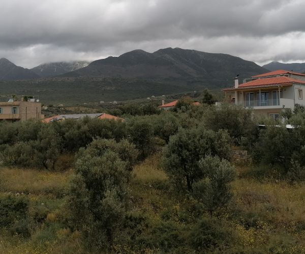 Image No.31-Maison de 3 chambres à vendre à Agios Dimitrios