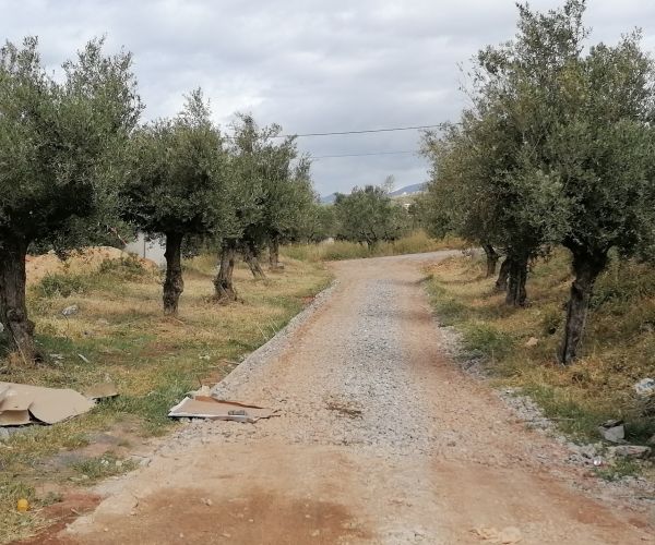 Image No.8-Maison de 3 chambres à vendre à Agios Dimitrios