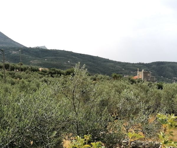 Image No.21-Maison de 4 chambres à vendre à Kardamyli