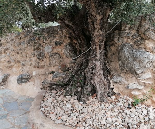 Image No.57-Maison de 4 chambres à vendre à Kardamyli