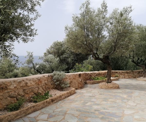 Image No.58-Maison de 4 chambres à vendre à Kardamyli