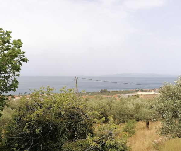 Image No.7-Maison de 4 chambres à vendre à Kardamyli