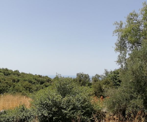 Image No.10-Terrain à vendre à Kardamyli