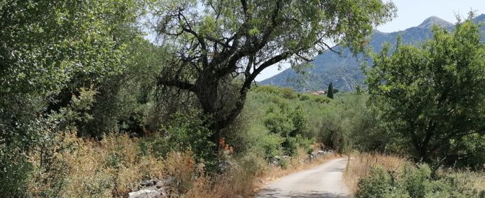 Image No.3-Terrain à vendre à Kardamyli