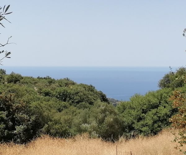 Image No.6-Terrain à vendre à Kardamyli