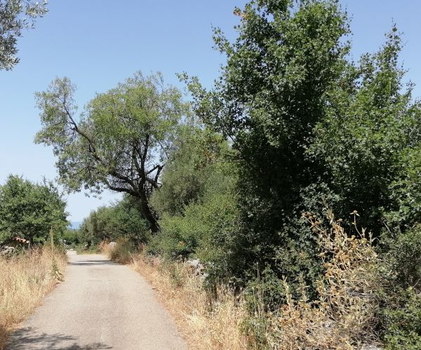 Image No.7-Terrain à vendre à Kardamyli