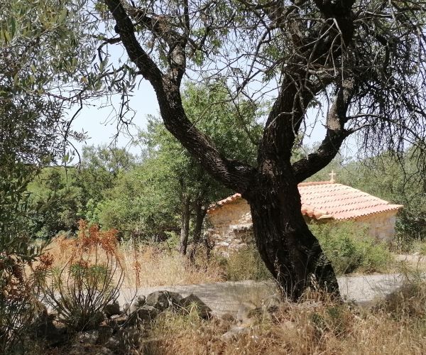 Image No.9-Terrain à vendre à Kardamyli