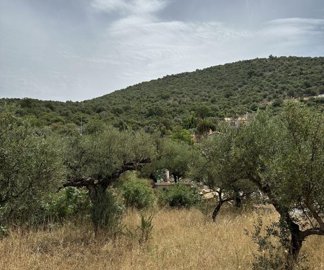 photo-3-6-24-12-13-06-pm-min