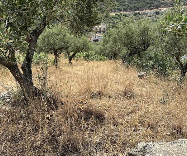 Image No.15-Plot for sale