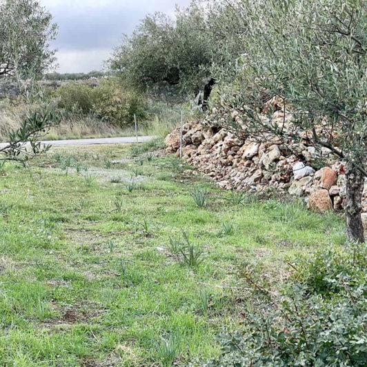 Image No.2-Plot for sale